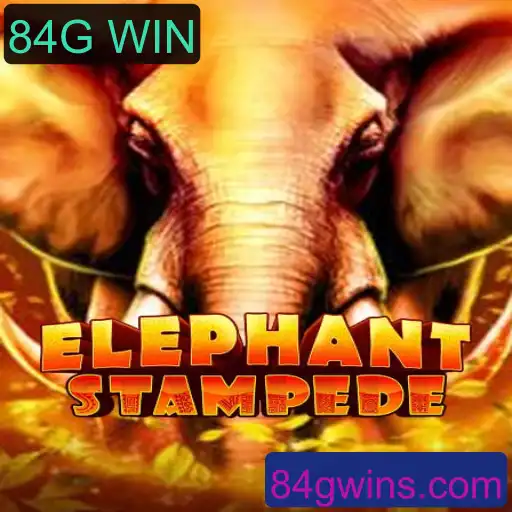 Descobrindo o Fascinante Mundo de ElephantStampede: O Desafio e a Emoção do 84G WIN
